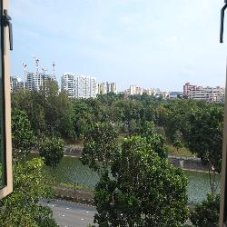 The Rivervale (D19), Condominium #45645952